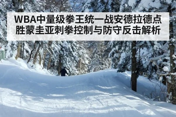WBA中量级拳王统一战安德拉德点胜蒙圭亚刺拳控制与防守反击解析